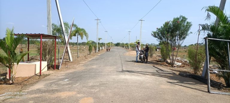Mannavaram Nearby Layout
