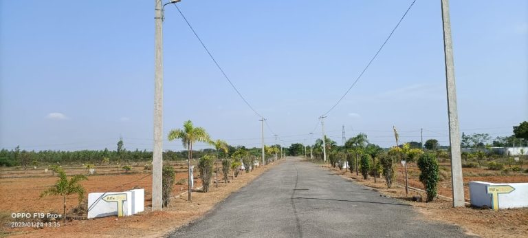 Mannavaram Nearby Layout