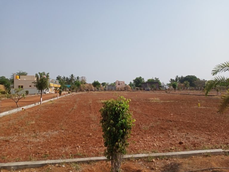 Venkatagiri Nearby Houses