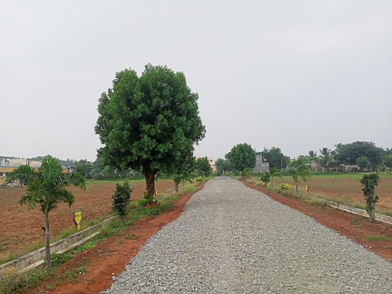 Om Sai Balasa Chakrapani Nagar Villa Plots