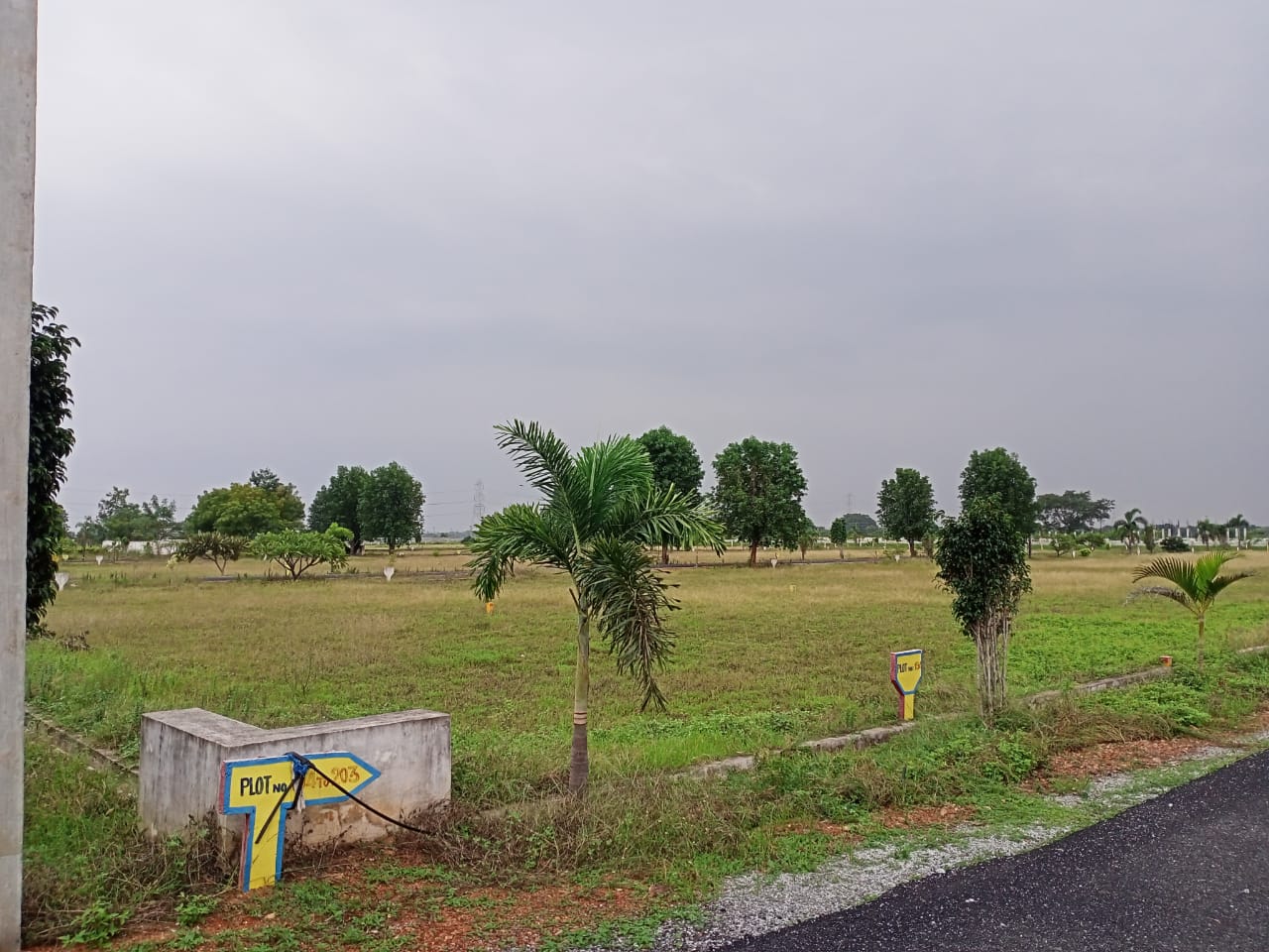 WhatsApp Image 2024-12-28 at 1.06.50 PM