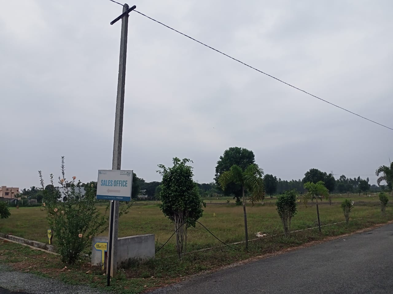 WhatsApp Image 2024-12-28 at 1.06.51 PM