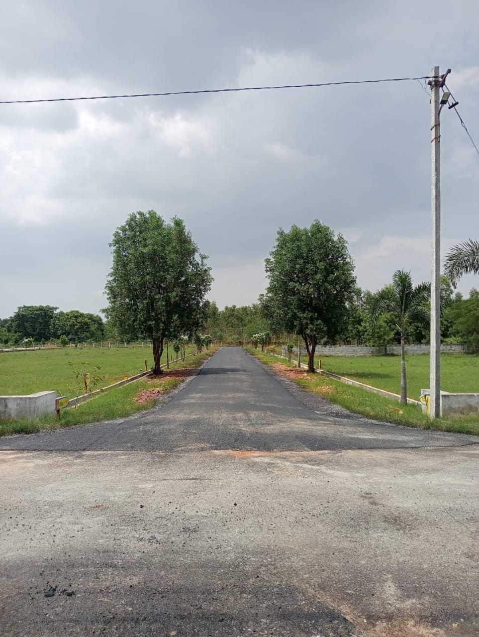 WhatsApp Image 2024-12-28 at 1.06.52 PM (2)