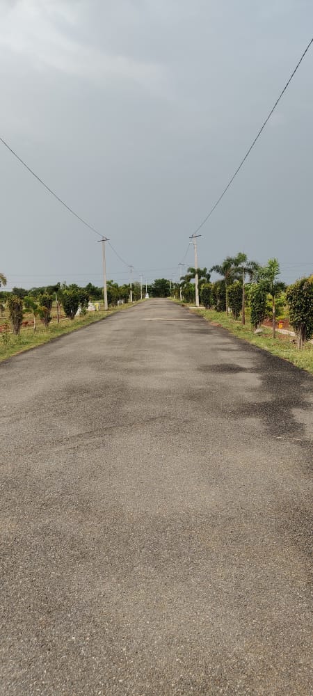 WhatsApp Image 2024-12-28 at 1.06.52 PM